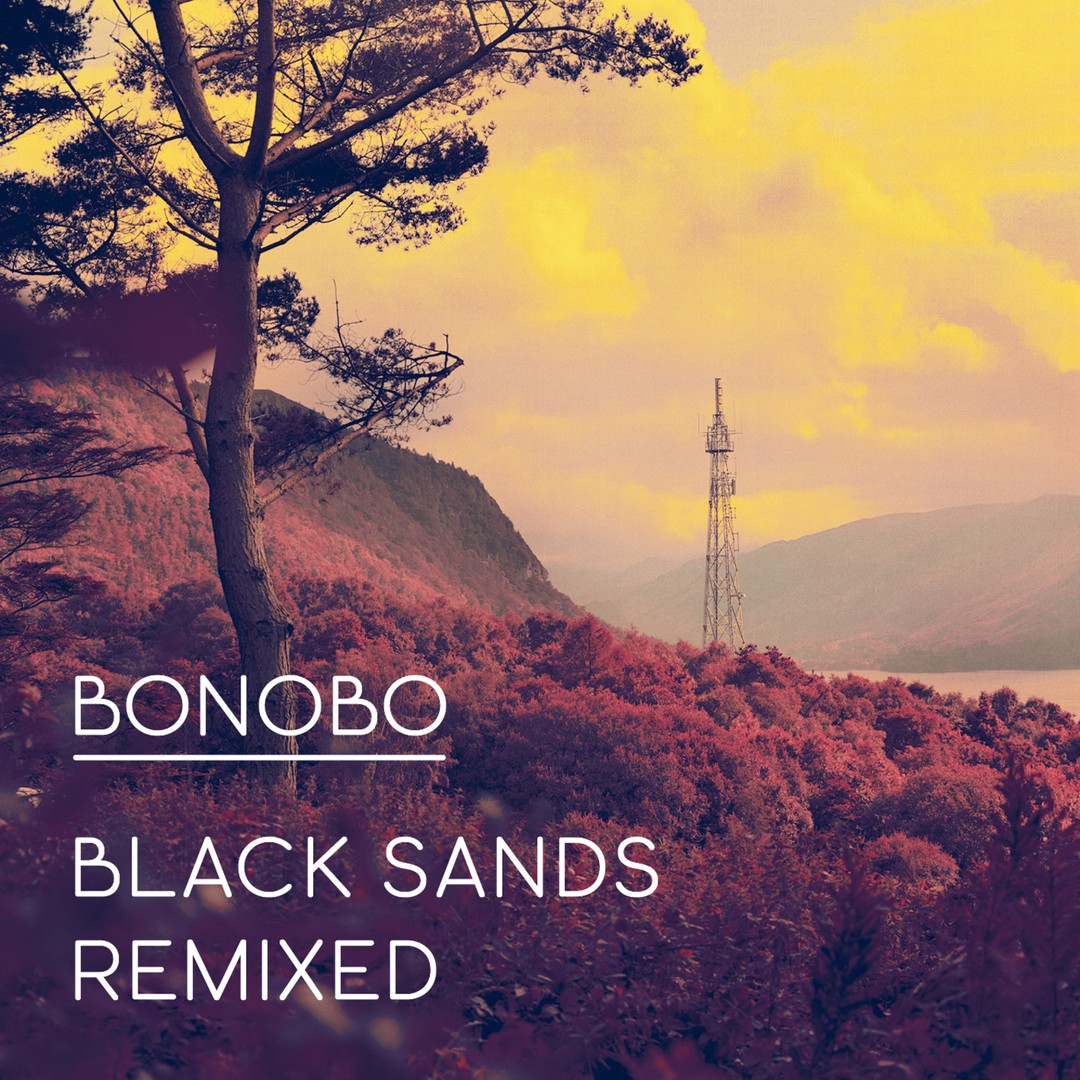 Stay The Same Instrumental Lyrics Bonobo Pandora Music Radio