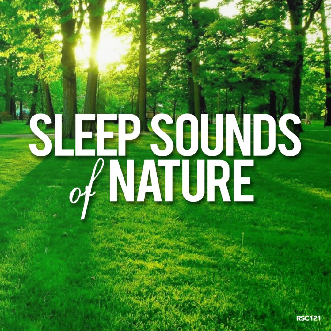 City Sound After The Rain By Sleep Sounds Of Nature Pandora